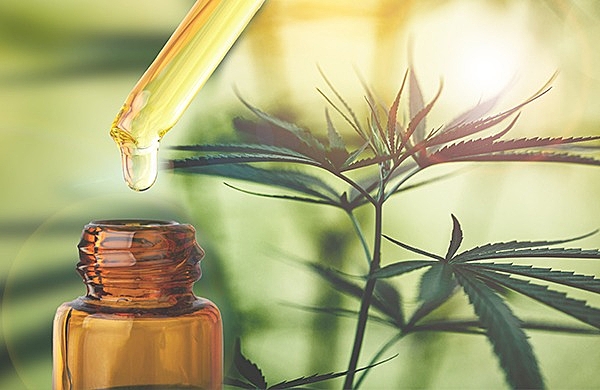 Conheça os meios de acesso à Cannabis Medicinal