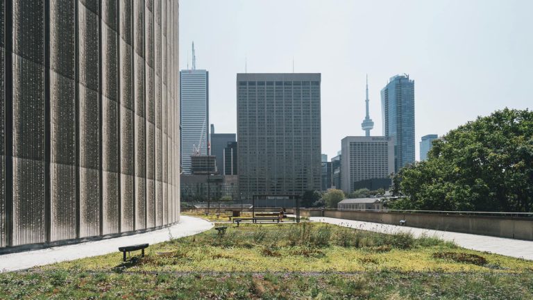 IBRI: programa TOP está com inscrições abertas até 30 de maio de 2025