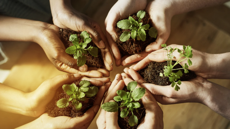 Educação Ambiental visa desenvolver a compreensão integrada do meio ambiente