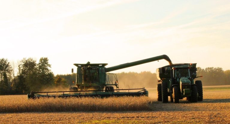 GCB estrutura CRA de R$ 35 milhões para produtor de soja e milho no Tocantins