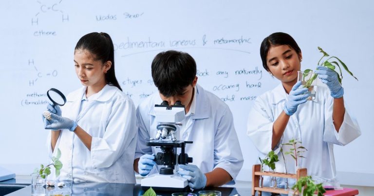 Escola Eleva São Paulo promove feira científica com mais de 30 projetos de inovação